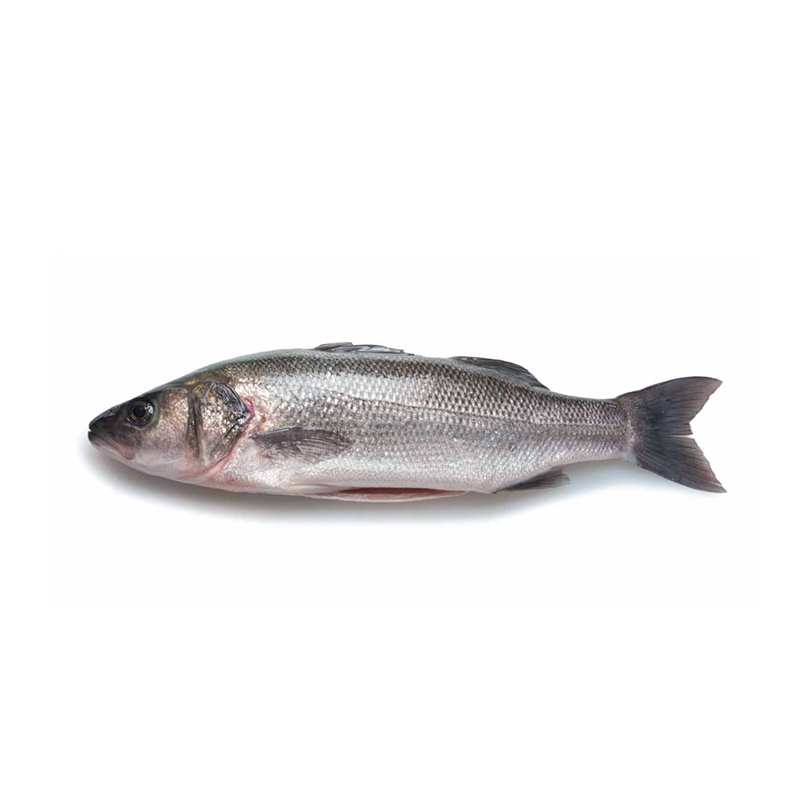 Lubin Jadranski 200-300g, cca 5kg