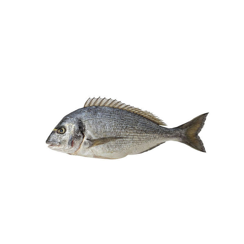 Orada Jadranska 200-300g, cca 5kg