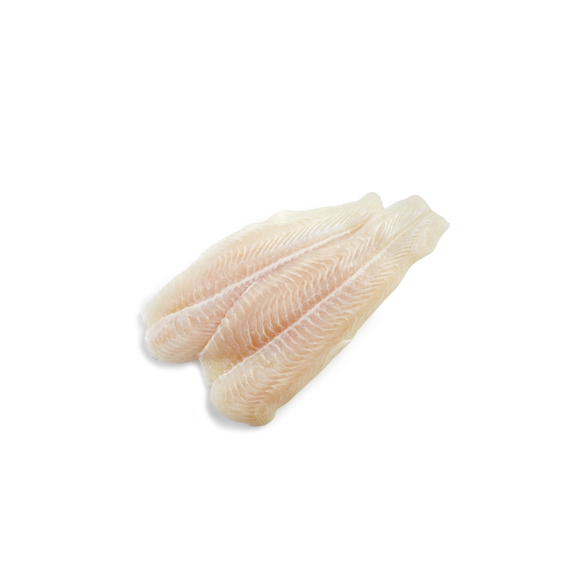 Pangasius fileti, cca 10kg