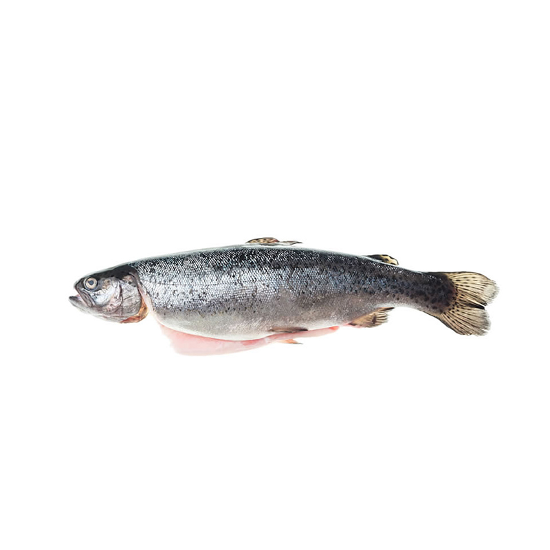 Pastrmka očišćena, cca 10kg